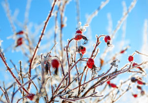 Romantisches Herbst & Winterwochenende